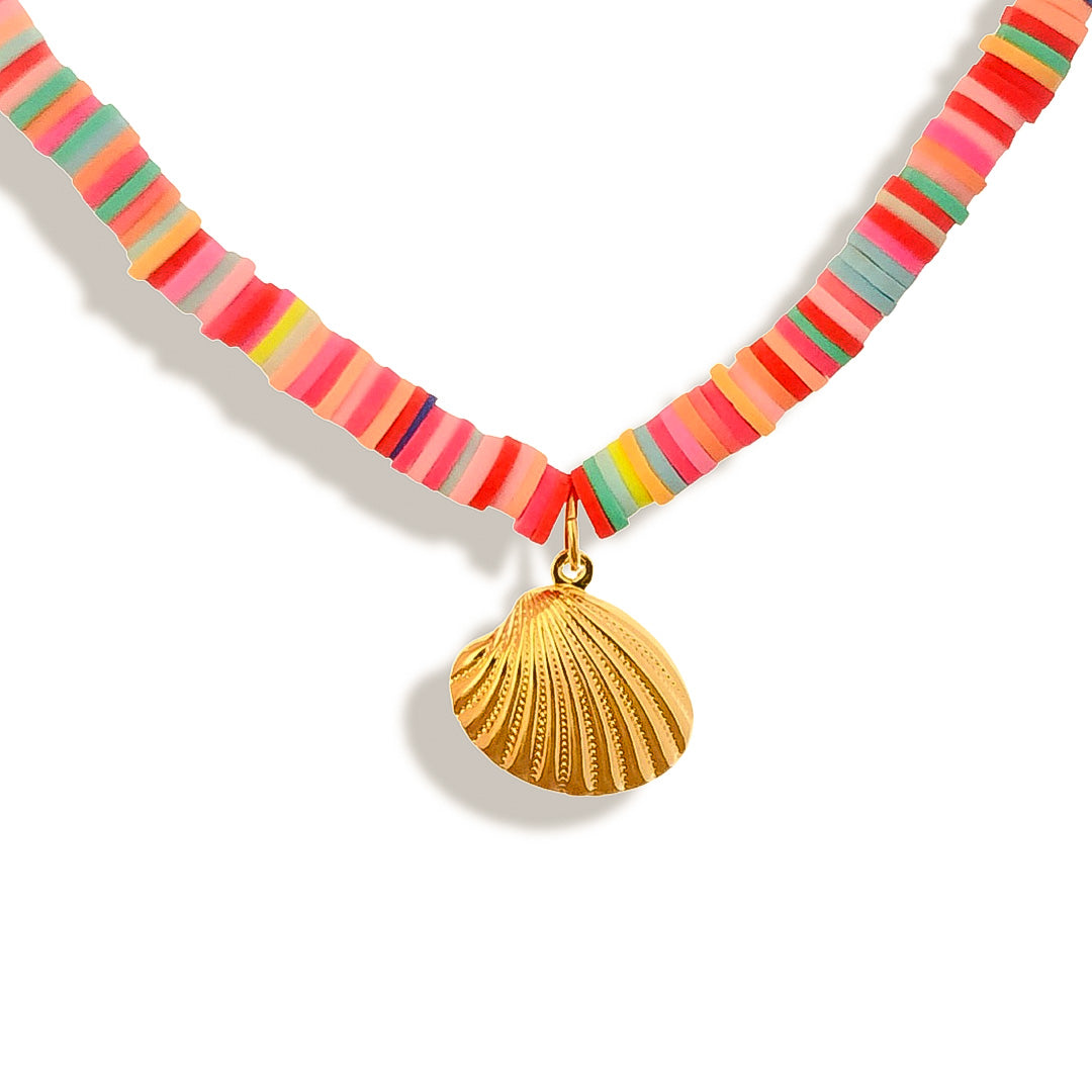 shell colors
